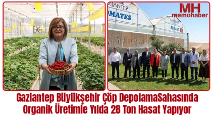 Gaziantep Büyükşehir çöp depolama sahasında organik üretimle yılda 28 ton hasat yapıyor