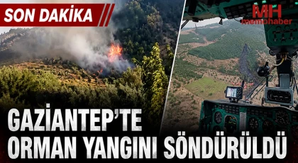 Gaziantep'te çıkan orman yangını havadan ve karadan müdahaleyle söndürüldü
