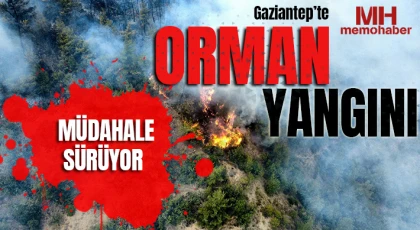 Gaziantep’te orman yangını: Müdahale sürüyor
