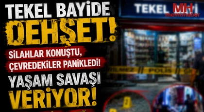 Gaziantep'te tekel bayinde dehşet:  Silahlar konuştu, çevredekiler panikledi