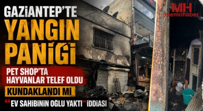Gaziantep’te yangın paniği: Pet shop’ta hayvanlar telef oldu