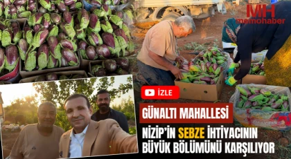 Günaltı Mahallesi, Nizip’in Sebze İhtiyacının Büyük Bölümünü Karşılıyor