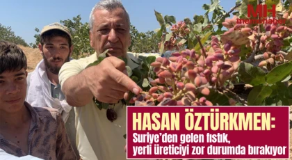 Öztürkmen: Suriye’den gelen fıstık, yerli üreticiyi zor durumda bırakıyor