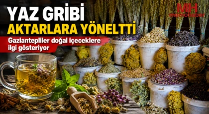 Yaz gribi aktarlara yöneltti