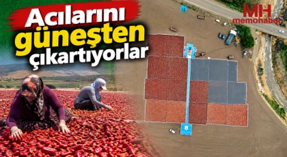 Acılarını güneşten çıkartıyorlar