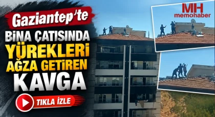 Gaziantep'te bina çatısında yürekleri ağza getiren kavga