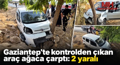 Kontrolden çıkan araç ağaca çarptı: 2 yaralı