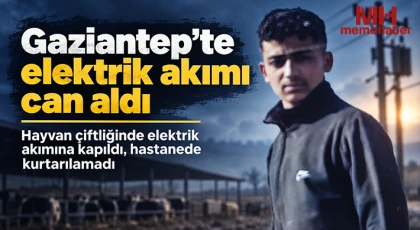 Gaziantep’te elektrik akımı can aldı