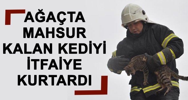 3 gündür mahsur yavru kediyi itfaiye kurtardı!..