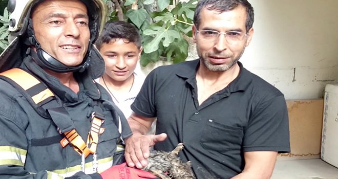 35 Metrelik Kuyudan Yavru Kediyi Kurtardılar