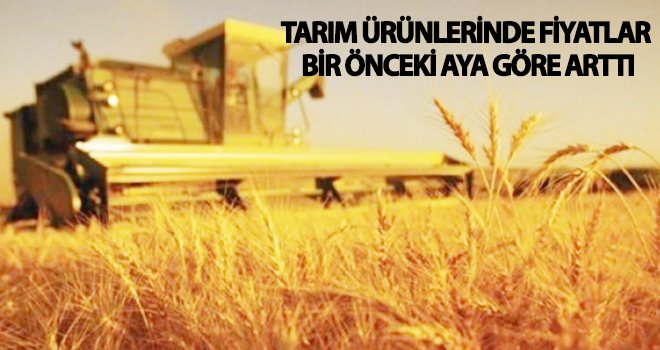 46 ürünün fiyatı arttı, 39 ürünün fiyatı düştü