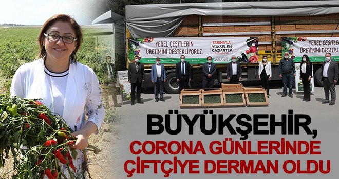 5 milyon fidenin çiftçilere dağıtımı başladı