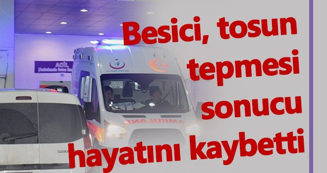 52 yaşındaki besici, tosun darbesi ile öldü