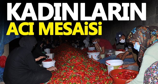 Acıdan para kazanıyorlar