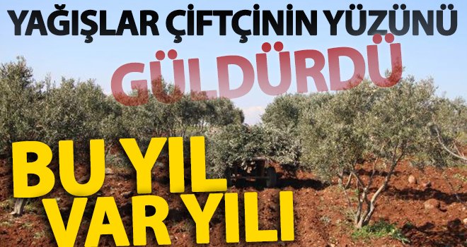Yağışlar çiftçinin yüzünü güldürdü, rekolte artışı bekleniyor