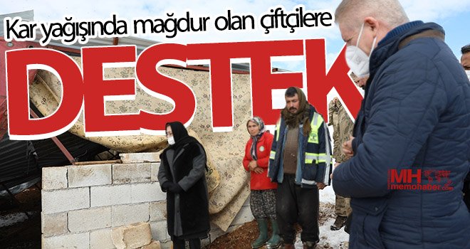 Ahırları çöken vatandaşlara Büyükşehir'den 1 ay boyunca yem desteği verilecek