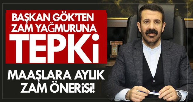 Ahmet Gök'ten maaşlara aylık zam önerisi!