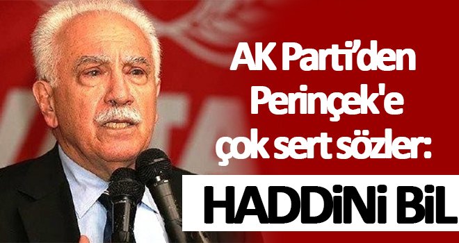 AK Parti'den Perinçek'e çok sert tepki: Haddinizi bileceksiniz