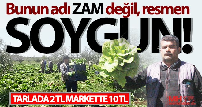 Akıl almaz fiyatlar! Marulun tanesi tarlada 2 TL markette 10 TL...
