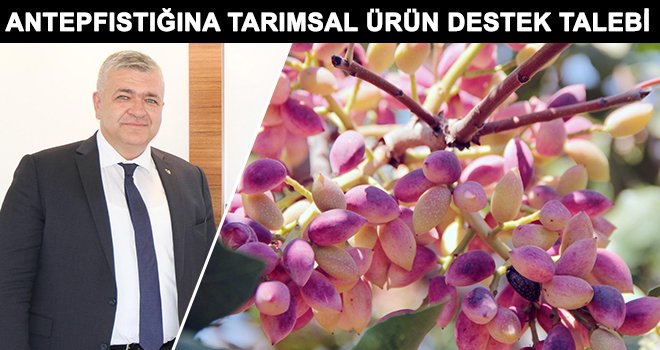 Akıncı: Ülke ekonomisine katkı sağlayacağız