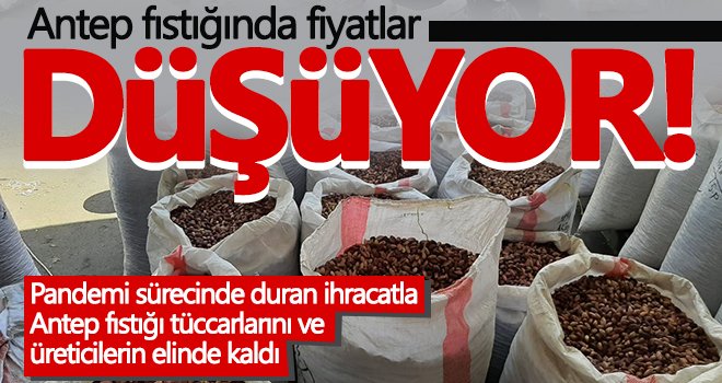 Antep fıstığı tüccarlarını ve üreticileri kara kara düşündürüyor
