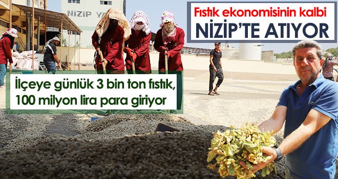 Antep fıstığının fiyatını bu ilçe belirliyor