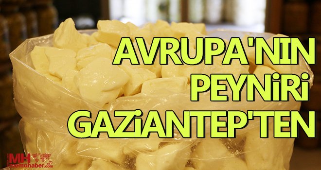 Antep peyniri dünyaya açıldı