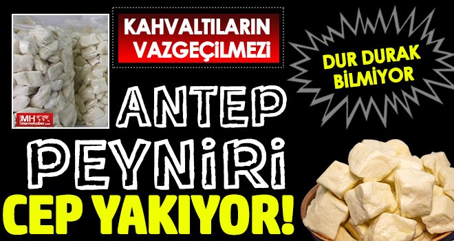 Antep Peyniri Seyirlik: Etle Yarışıyor!