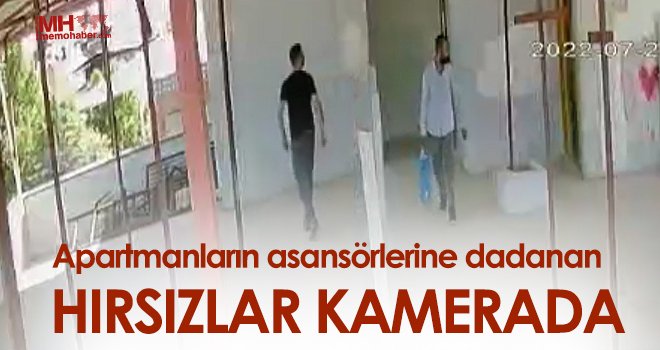 Apartmanların asansörlerine dadanan hırsızlar kamerada