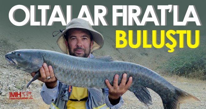 Araban’da oltalar Fırat’la buluştu