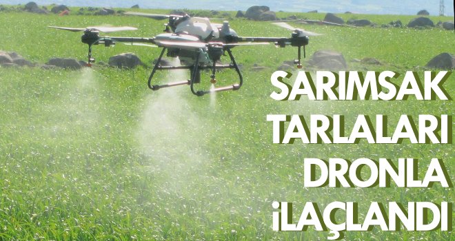 Araban’da sarımsak tarlaları dronla ilaçlandı