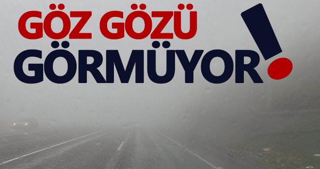 Araban’da yağış ve sis etkili oldu