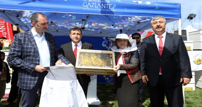 ARICILARA 2 BİN ARI KOVANI 