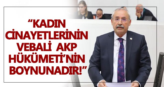 Artan kadın cinayetleri meclis gündeminde