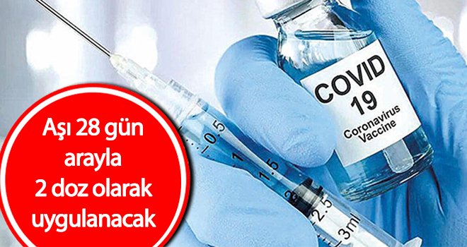 Aşı 28 gün arayla 2 doz olarak uygulanacak
