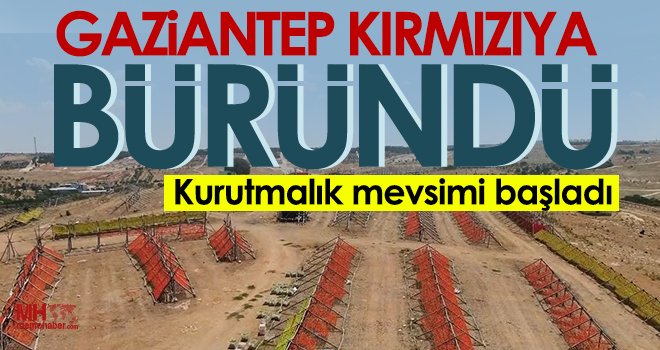 Aşırı sıcaklar kurutmalıklara yaradı