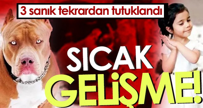Asiye’ye pitbull saldırısı davasında tahliye edilen sanıklarla ilgili şok karar