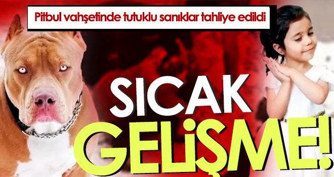 Asiye'ye pitbull saldırısı davasında tutuklu sanık kalmadı