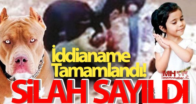 Asiye’ye saldıran köpekler iddianamede silah sayıldı