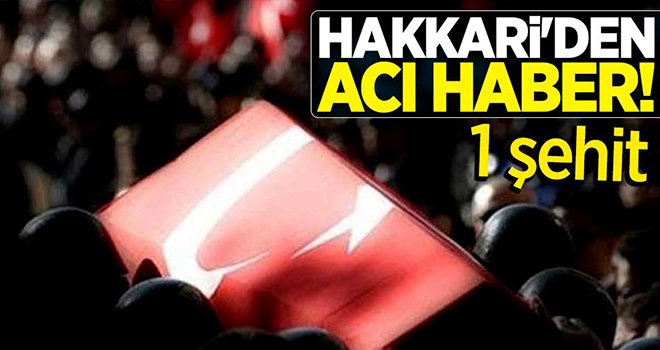 Askeri araç yoldan çıktı: 1 şehit