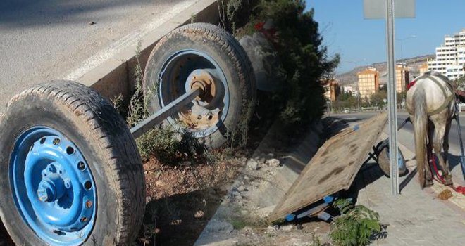 At arabasının üzerinden düşen 3 kişi yaralandı