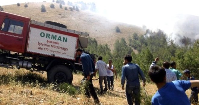 Atatürk Barajı çevresindeki ormanlık alanda yangın