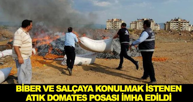 Atık domates posasına el konularak imha edildi