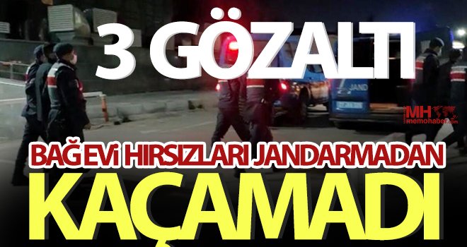 Bağ evi hırsızları Jandarmadan kaçamadı! 3 gözaltı