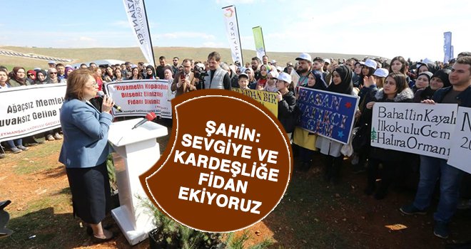 Bağlarbaşı Hatıra Ormanı oluşturuldu