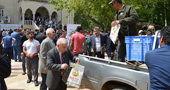 Gaziantep Orman İşletme Müdürlüğü, 5 bin gül fidanı dağıttı