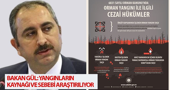 Bakan Gül: Yangınların kaynağı ve sebebi araştırılıyor