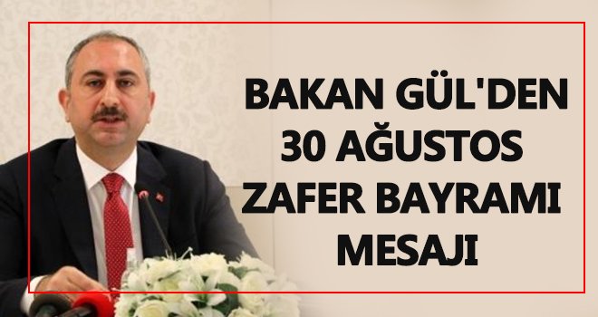 Bakan Gül'den 30 Ağustos Zafer Bayramı mesajı