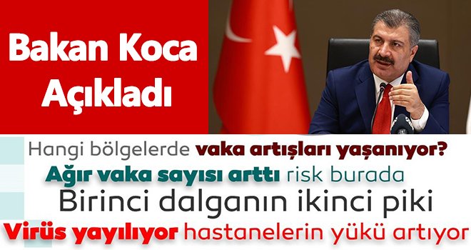 Bakan Koca: Birinci dalganın ikinci pikini yaşıyoruz