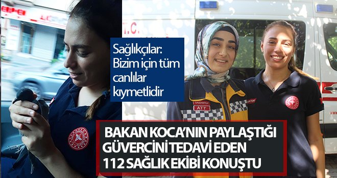 Bakan Koca’nın paylaştığı güvercini tedavi eden 112 sağlık ekibi konuştu